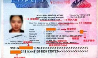 马来西亚签证可以自己申请吗 如何办马来西亚签证